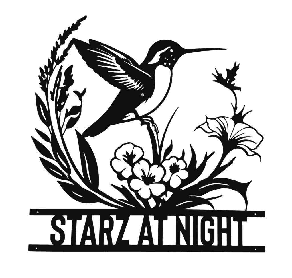 Starz At Night logo