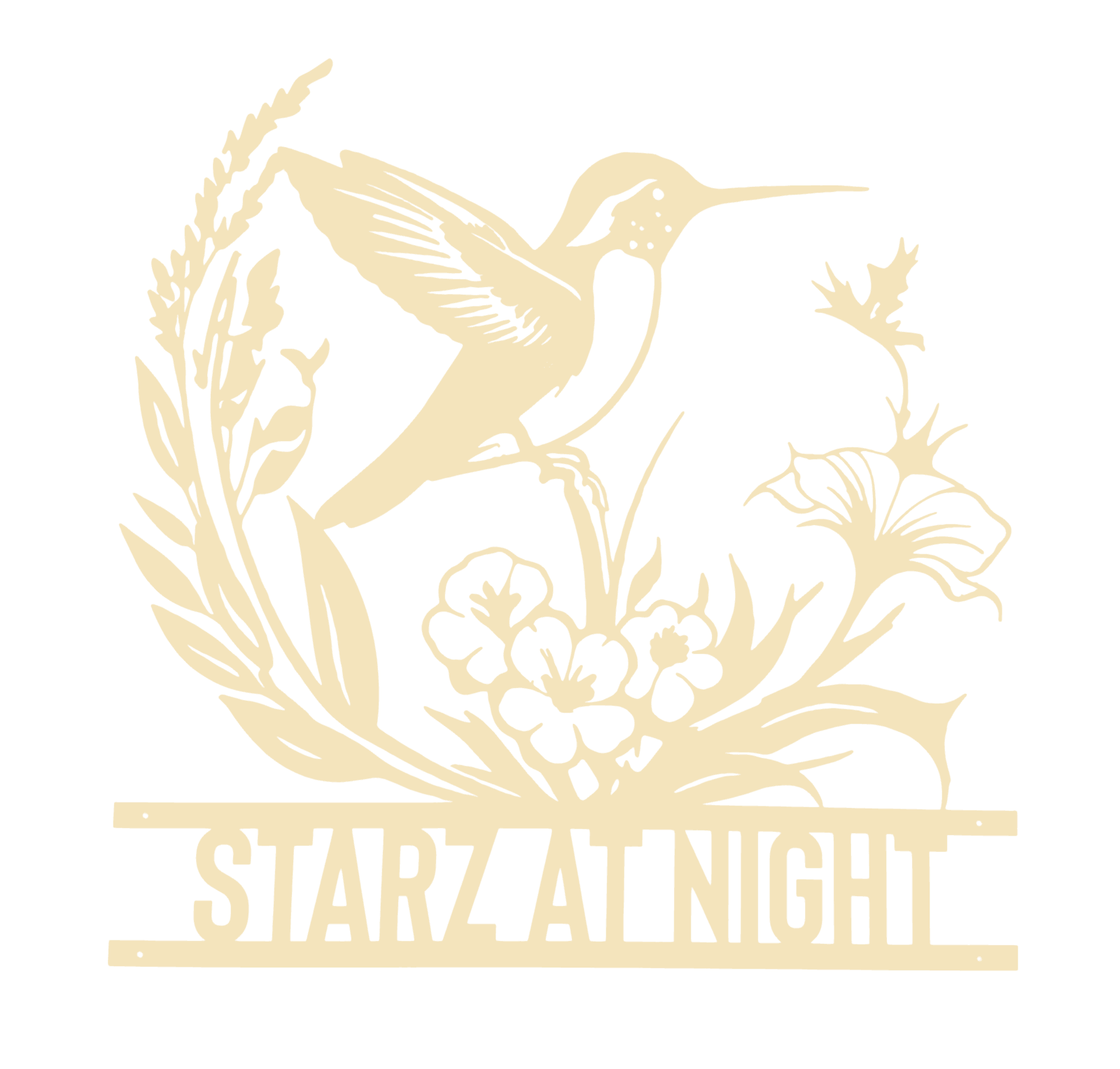 Starz at Night – Luxury Suite
